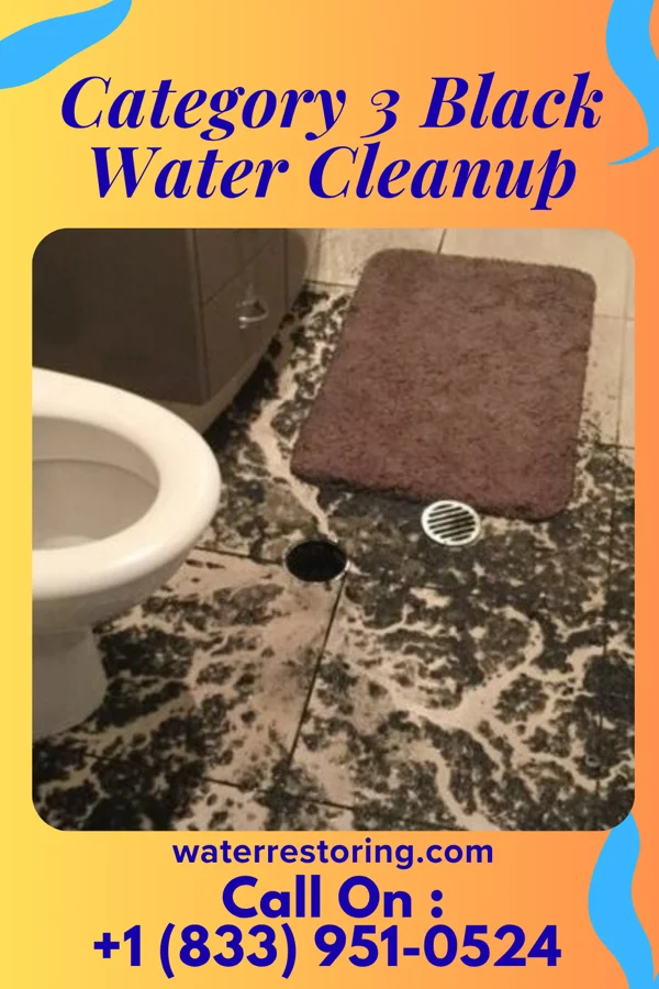 Category 3 Black Water Cleanup in Lovell, OK
