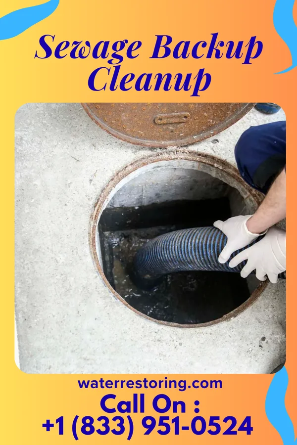 Sewage Backup Cleanup in Lovell, OK
