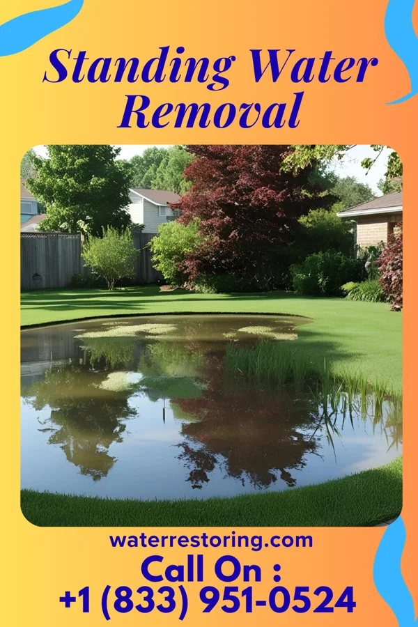 Standing Water Removal in Lovell, OK